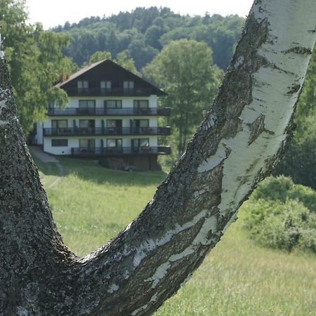 Birkenhof Hotel Wald-Michelbach Exterior photo