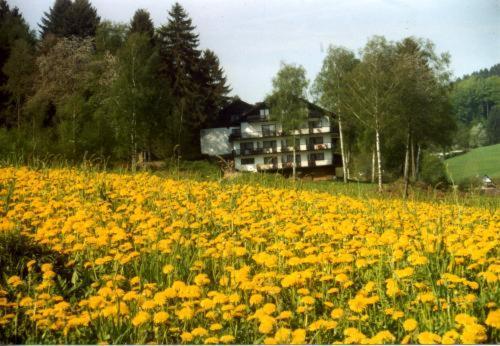 Birkenhof Hotel Wald-Michelbach Exterior photo