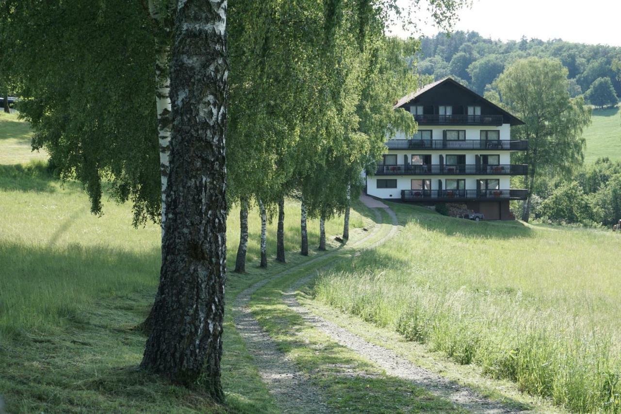 Birkenhof Hotel Wald-Michelbach Exterior photo